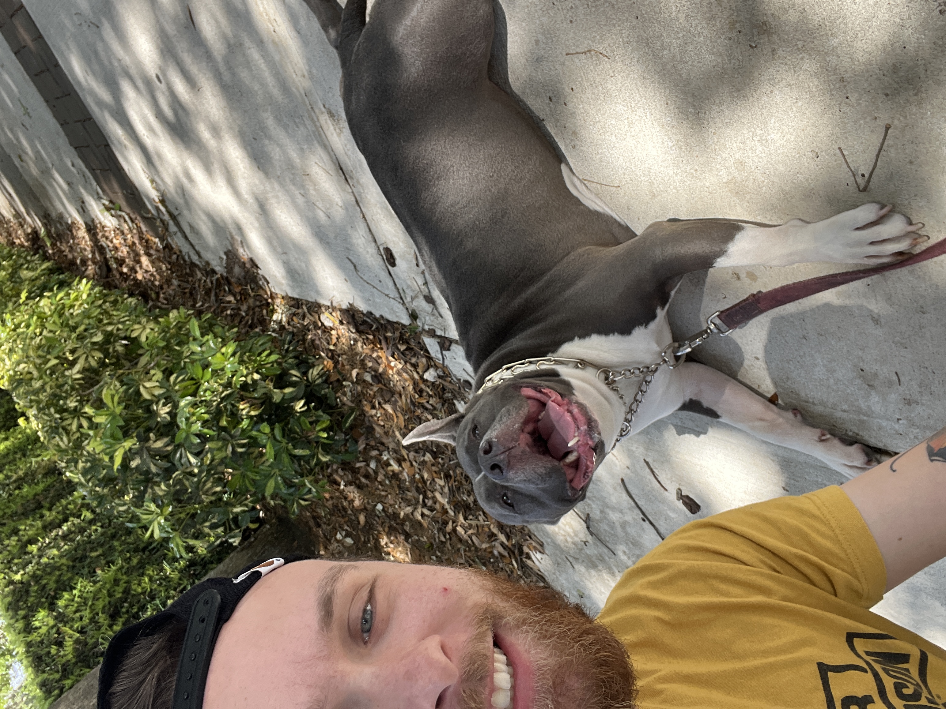 Scooby with his dad