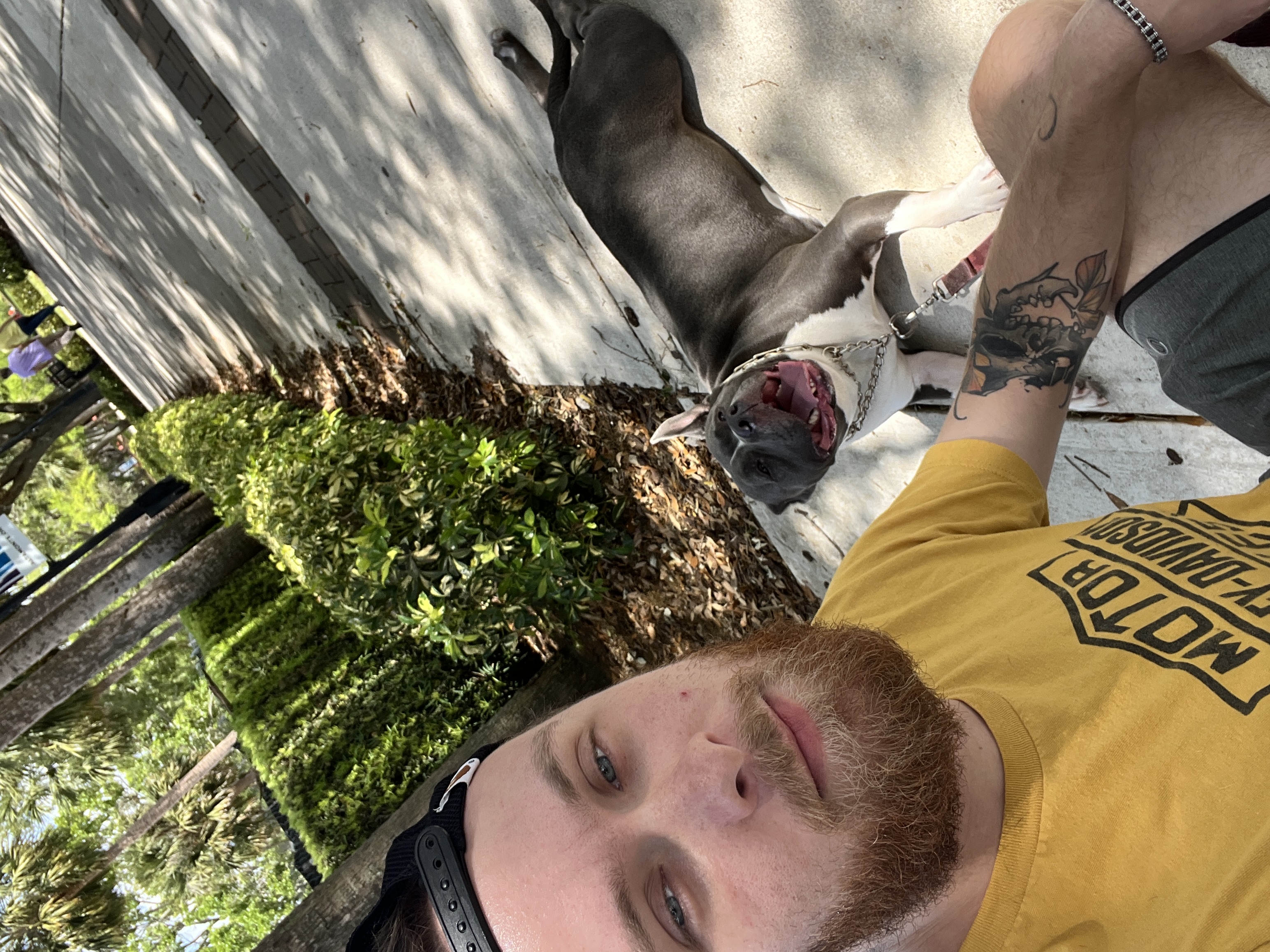 Scooby and his human on a walk
