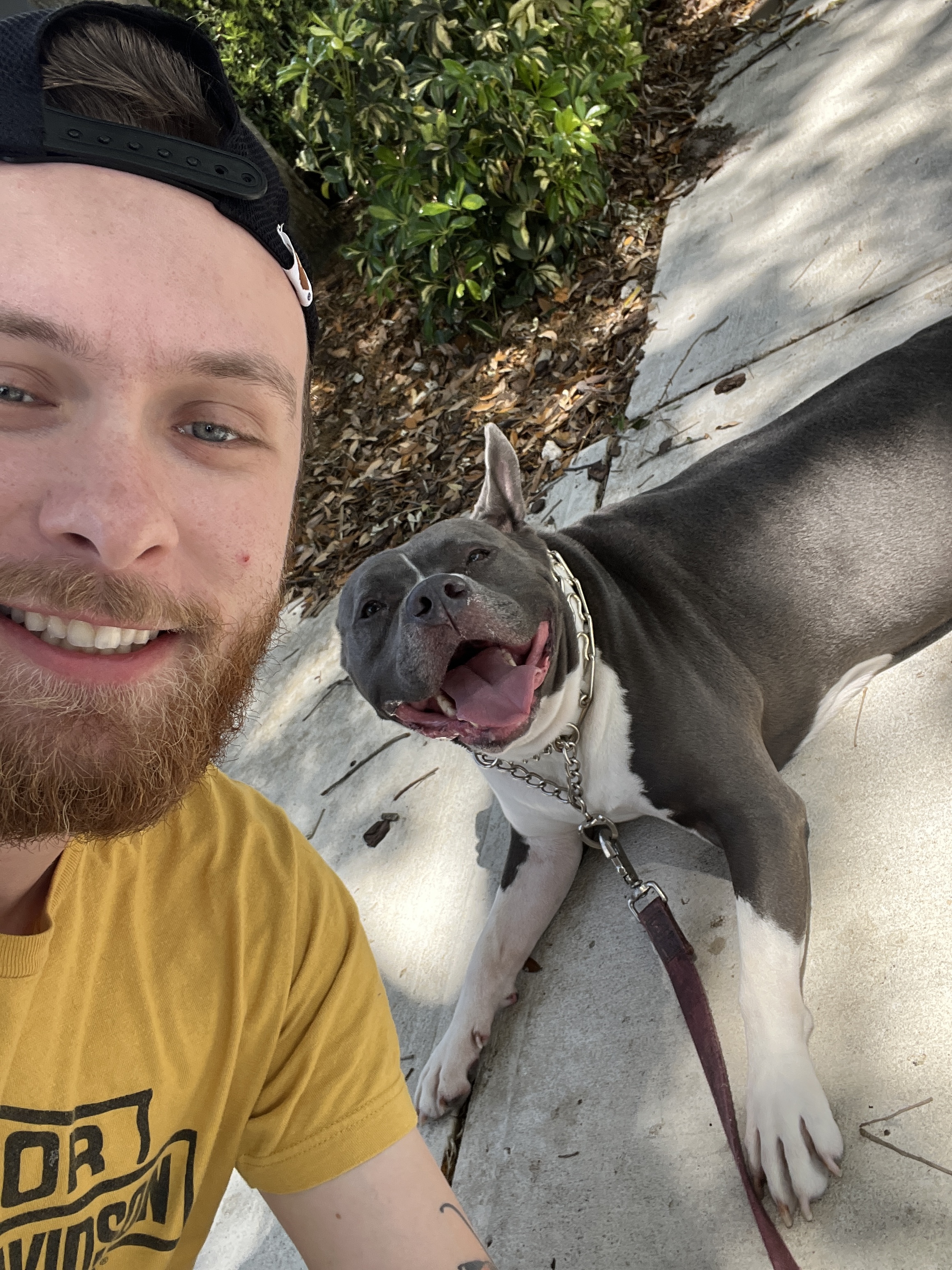 Scooby and his human selfie